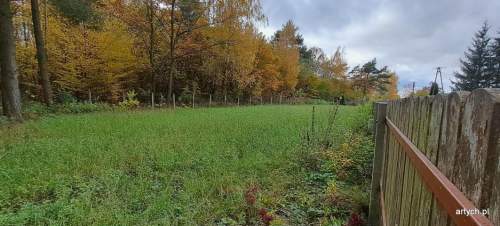 Działka rekreacyjna na sprzedaż, 4843 m2, Kupientyn