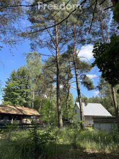 Dziaka w lesie nad jeziorem - Tuczno