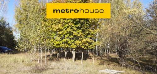 Działka siedliskowa na sprzedaż, 3891 m2, Żeliszew Duży