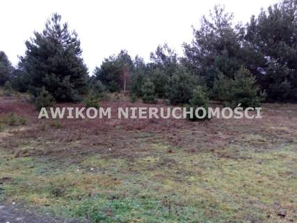 Działka inwestycyjna na sprzedaż, 6000 m2, Puszcza Mariańska