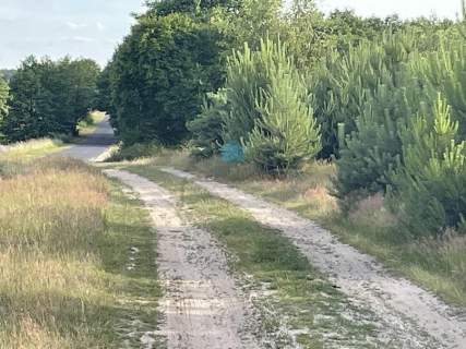 Atrakcyjna działka z warunkami zabudowy Karczewko Puszcza Zielonka