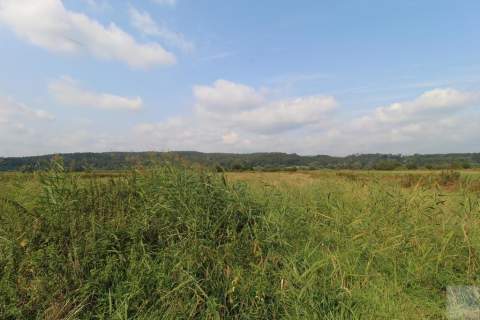 Działka budowlana na sprzedaż, 6000 m2, Śliwnica
