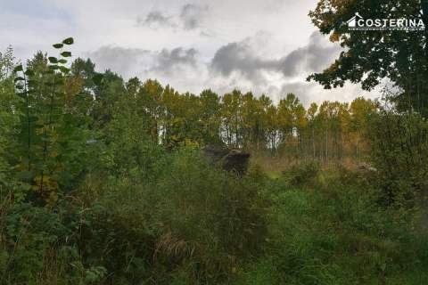 Działka inwestycyjna 7,06 ha w Zadrach, gmina Miastko Pojezierze...
