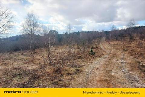 Działka dla inwestora- 330 m linii brzegowej