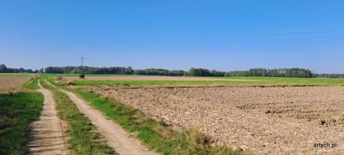 Działka rolna na sprzedaż, 3000 m2, Rogów