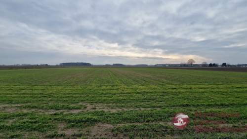 Na sprzedaż działka 1,5 ha z 3 budynkami rekrecyj.