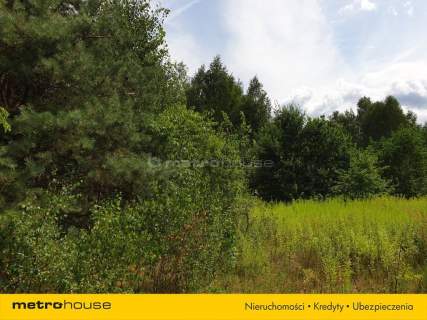 Działka inwestycyjna na sprzedaż, 1396 m2, Cisie
