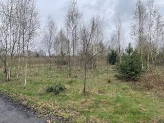 Działki budowlane z warunkami zabudowy pow. ok. 1200 m2