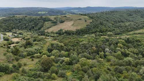 Działki rolne 7 ha, ok. 1 km od Jeziora Solińskiego