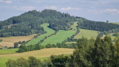 Na sprzedaż działki budowlane Świerki