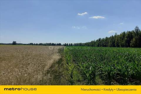 Na sprzedaż działka w Smolance gm. Zbuczyn