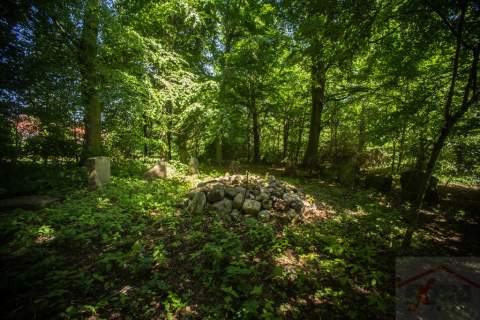 Inwestycja 21 ha gruntów z pałacem i parkiem