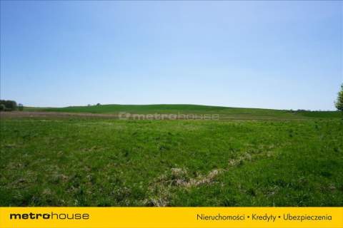 Działki rolne, 6,95 ha, głównie łąki i pastwiska.