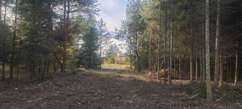 Borzęcin Mały-urokliwa działka budowlana