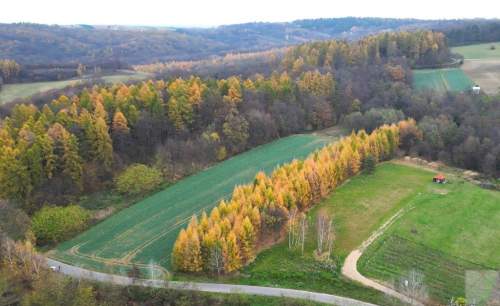 Na sprzedaż piękna działka budowlana w Kuńkowcach