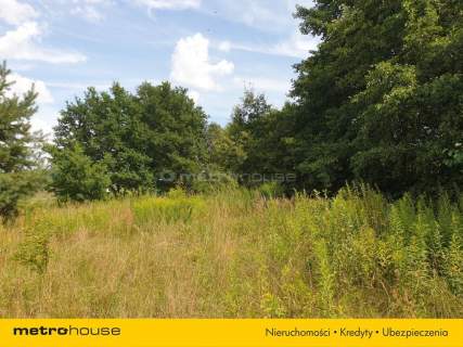 Działka inwestycyjna na sprzedaż, 971 m2, Cisie