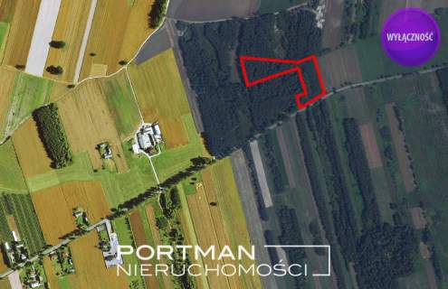 Działka w Dobrzyńcu 15 200 m2