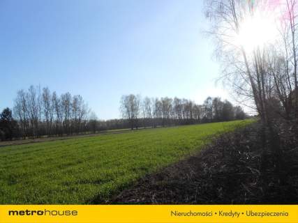 Działka rolno budowlana. Stachlew. 6km do trasy A2