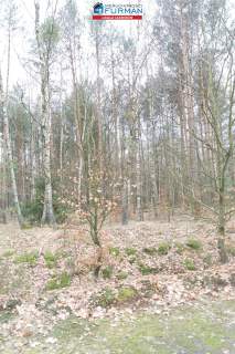 działka na sprzedaż w Klempiczu gmina Lubasz