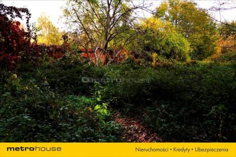 Kamienica z nieograniczonymi możliwościami