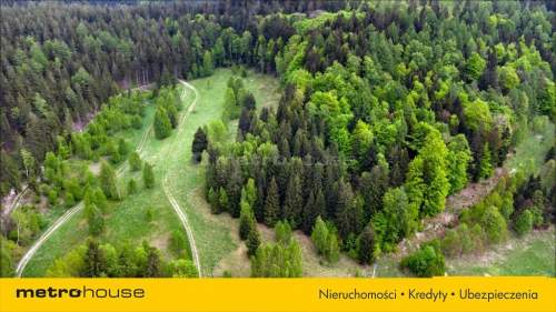 DZIAŁKA DUSZNIKI PODGÓRZE - 2000 m2 NA SPRZEDAŻ