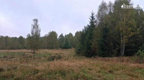 Działka inwestycyjna 7,06 ha w Zadrach, gmina Miastko Pojezierze...