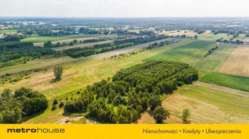 Enklawa wśród drzew, pól i łąk - Ruda-Bugaj