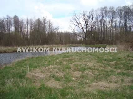 Działka siedliskowa na sprzedaż, 13593 m2, Pieńki Zarębskie