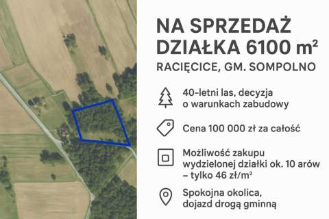 Działka rolna na sprzedaż, 6100 m2, Racięcice