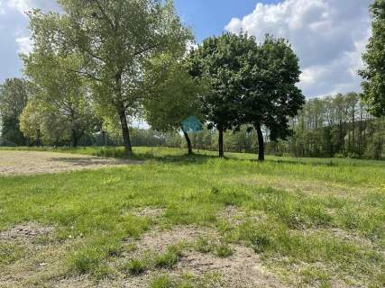 Grunt rolny 1,5ha warunki zabudowy Sokołowo k/Witkowa