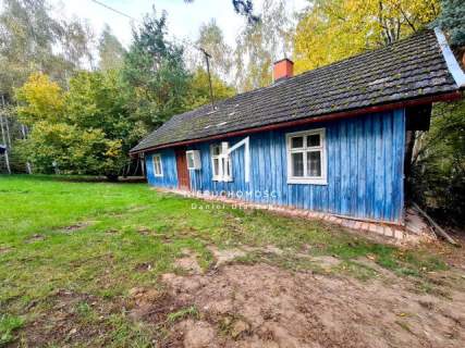 KLIMATYCZNE SIEDLISKO Z DOMEM POD LASEM, SKOŁYSZYN, POWIAT 