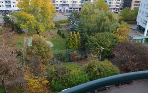 Mieszkanie do wynajęcia, 40 m2, Warszawa