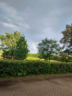 Sprzedam dom i dzialkie