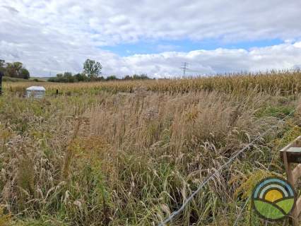 Działka budowlana 700 m2 w Brzezince gm. Zabierzów