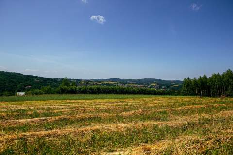 Działka rolno-budowlana w Gromniku