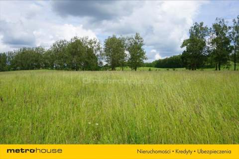 Działka w pięknej okolicy nad jeziorem