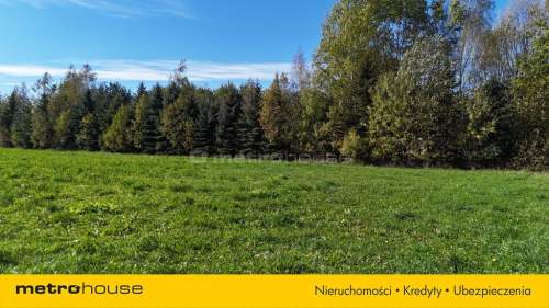 Działka inwestycyjna na sprzedaż, 13874 m2, Adamowice