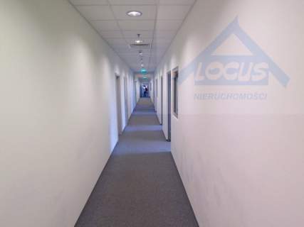 Magazyn 820 m2 do wynajmu Ochota, blisko CH Reduta