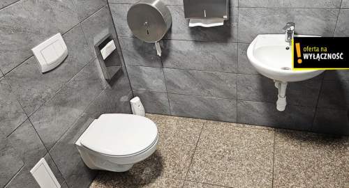 Ekskluzywny Siedziba Firmy na Wynajem - 350m2
