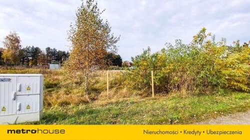 Działka 1246 m2, na sprzedaż - Nieżywięć.