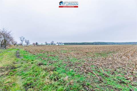 Na sprzedaż działka w Boruchowie gmina Ryczywół