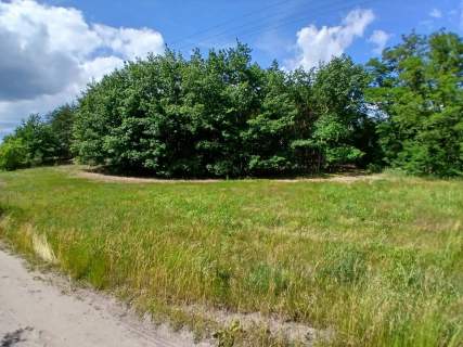 Działka rolna na sprzedaż, 6100 m2, Racięcice