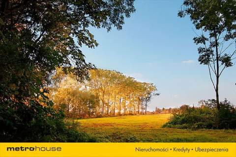 KACZOROWY XIX WIECZNY DWÓR 8 HEKTARÓW ZIEMI