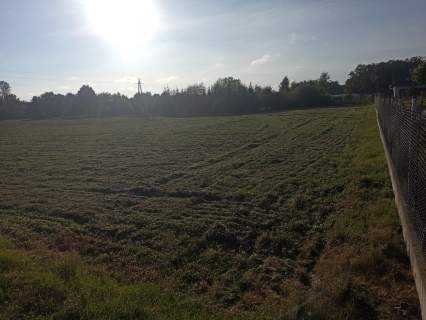 Sprzedam działki budowlane każda po 1500m2 we wsi Grochowa