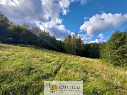Niegdyś siedlisko-dziś Twój ruch 5,6 ha Kobysewo
