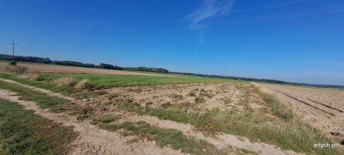 Działka rolna na sprzedaż, 3000 m2, Rogów
