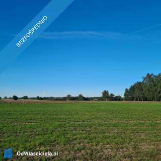 Las za oknem, projekt w ręku działka gotowa do budowy