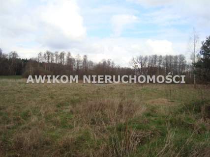 Działka siedliskowa na sprzedaż, 13593 m2, Pieńki Zarębskie
