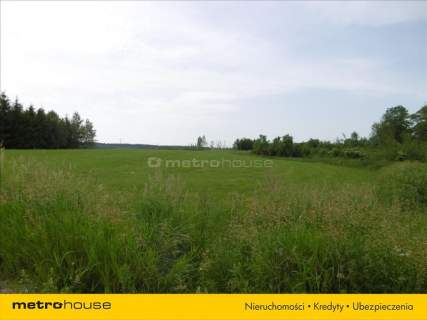 Działka ok. 2 ha, w odległości 25 km. od Olsztyna.
