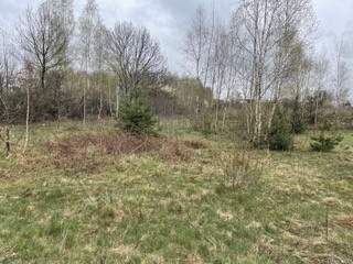 Działki budowlane z warunkami zabudowy pow. ok. 1200 m2